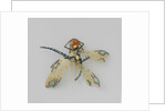 Comb in the form of two dragonflies by Lucien Gaillard