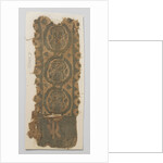 Tissue Fragment with clavus by Anonymous