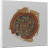 Tissue Fragment with orbiculus by Anonymous