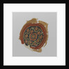 Tissue Fragment with orbiculus by Anonymous