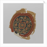 Tissue Fragment with orbiculus by Anonymous