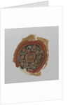 Tissue Fragment with orbiculus by Anonymous