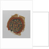 Tissue Fragment with orbiculus by Anonymous