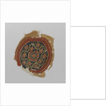 Tissue Fragment with orbiculus by Anonymous