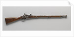 Rear Load Rifle, Snider system by P. Stevens