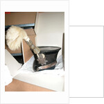 Sjako staff officer of militia. M, 1828, J. W. Kerkhoven by Anonymous