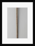 Walking stick or Johan van Barneveld by Anonymous