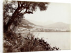 View of Salerno Italy and its harbor by Fratelli Alinari