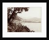 View of Salerno Italy and its harbor by Fratelli Alinari