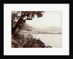 View of Salerno Italy and its harbor by Fratelli Alinari