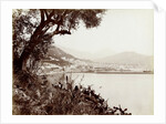View of Salerno Italy and its harbor by Fratelli Alinari