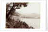View of Salerno Italy and its harbor by Fratelli Alinari