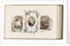 Portrait of Reginald Carter as a child with picture book bordered by drawing flora by Anonymous