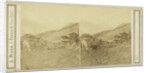 Mürren Switzerland by Adolphe Braun