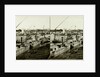 Inauguration of the Suez Canal. Ismailia, freshwater canal Arrives Arab sheiks by Anonymous