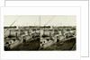 Inauguration of the Suez Canal. Ismailia, freshwater canal Arrives Arab sheiks by Anonymous