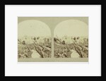 Jerusalem, Francis Frith by Negretti & Zambra