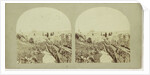 Jerusalem, Francis Frith by Negretti & Zambra