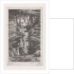 Forest avenue by Jacob Jan van der Maaten