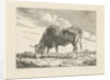 Grazing Cow by Pieter Gerardus van Os