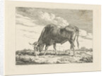 Grazing Cow by Pieter Gerardus van Os
