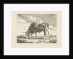 Grazing Cow by Pieter Gerardus van Os