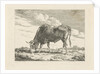 Grazing Cow by Pieter Gerardus van Os