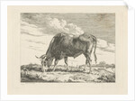 Grazing Cow by Pieter Gerardus van Os