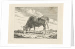 Grazing Cow by Pieter Gerardus van Os