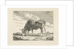 Grazing Cow by Pieter Gerardus van Os