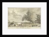 Cows in a pasture by Cornelis van Noorde