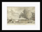 Cows in a pasture by Cornelis van Noorde