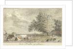 Cows in a pasture by Cornelis van Noorde