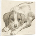 Dog, Cornelis van Noorde by Cornelis Visscher II