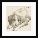 Dog, Cornelis van Noorde by Cornelis Visscher II