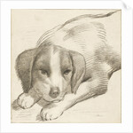Dog, Cornelis van Noorde by Cornelis Visscher II