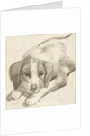 Dog, Cornelis van Noorde by Cornelis Visscher II