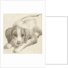 Dog, Cornelis van Noorde by Cornelis Visscher II