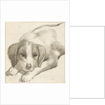 Dog, Cornelis van Noorde by Cornelis Visscher II