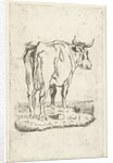 Standing cow by Johan Antoni Kauclitz Colizzi