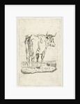 Standing cow by Johan Antoni Kauclitz Colizzi