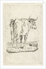 Standing cow by Johan Antoni Kauclitz Colizzi