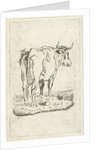 Standing cow by Johan Antoni Kauclitz Colizzi