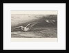 Seagulls by Jacobus Hermanus Otterbeek