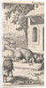 Sancho sleeping in a pig trough in front of a farm by Pieter Mortier
