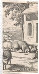 Sancho sleeping in a pig trough in front of a farm by Pieter Mortier