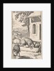 Sancho sleeping in a pig trough in front of a farm by Pieter Mortier