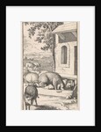 Sancho sleeping in a pig trough in front of a farm by Pieter Mortier