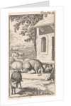 Sancho sleeping in a pig trough in front of a farm by Pieter Mortier