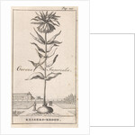 Imperial Crown, Caspar Luyken by Jan Claesz ten Hoorn